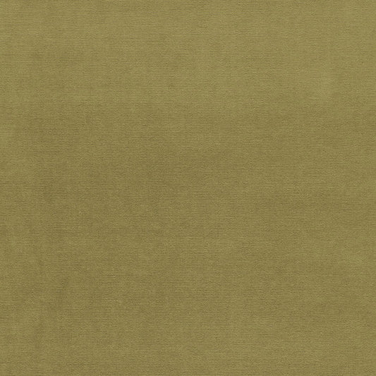 View 42858 Gainsborough Velvet Lichen by Schumacher Fabric