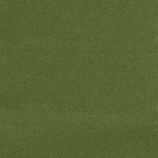 Looking 42869 Gainsborough Velvet Fern by Schumacher Fabric
