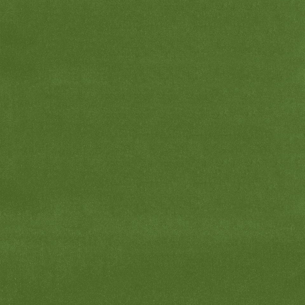 Search 42870 Gainsborough Velvet English Green by Schumacher Fabric