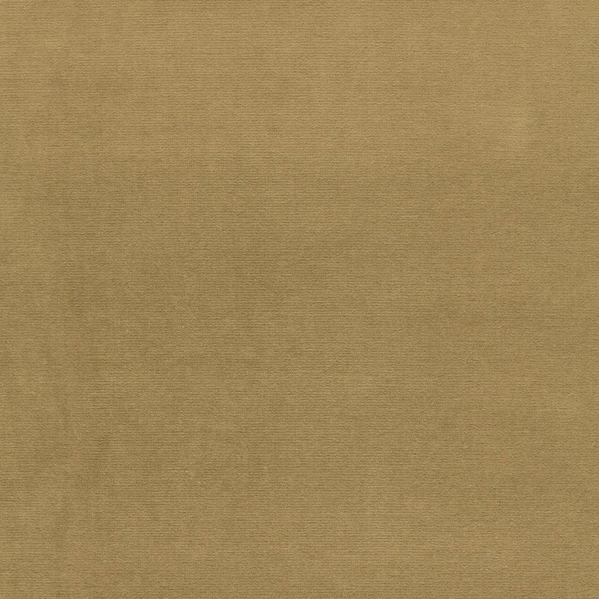 Order 42872 Gainsborough Velvet Pistachio by Schumacher Fabric
