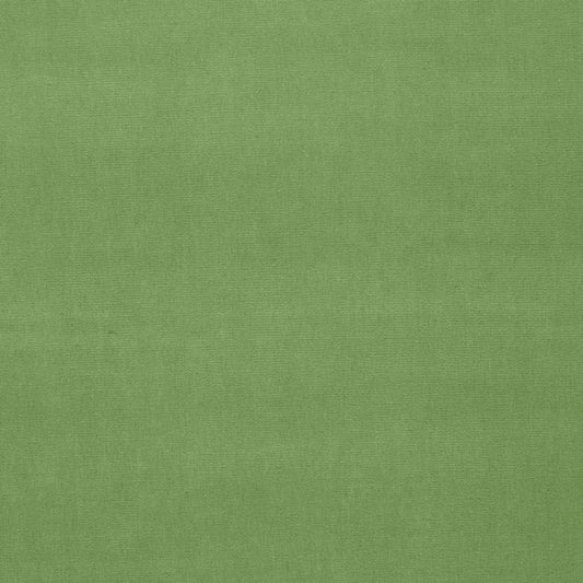 Save 42873 Gainsborough Velvet Willow by Schumacher Fabric