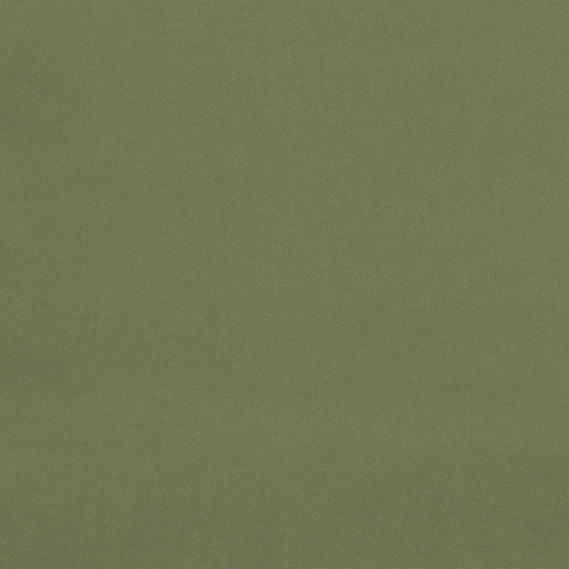 Acquire 42875 Gainsborough Velvet Celadon by Schumacher Fabric