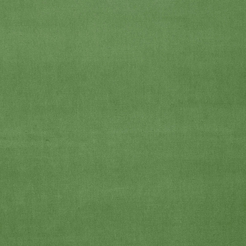 Search 42876 Gainsborough Velvet Parrot by Schumacher Fabric