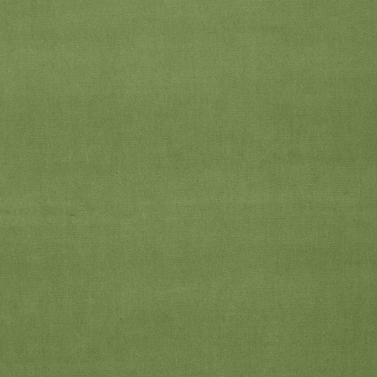 Acquire 42878 Gainsborough Velvet Leaf by Schumacher Fabric