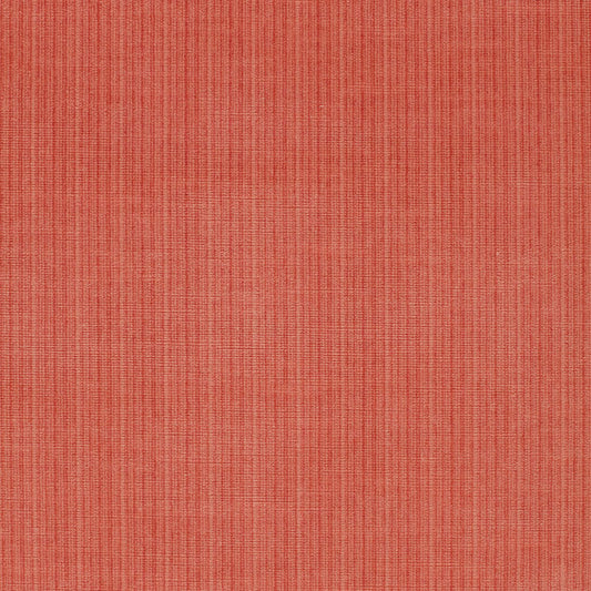 Buy 43046 Antique Strie Velvet Coral by Schumacher Fabric