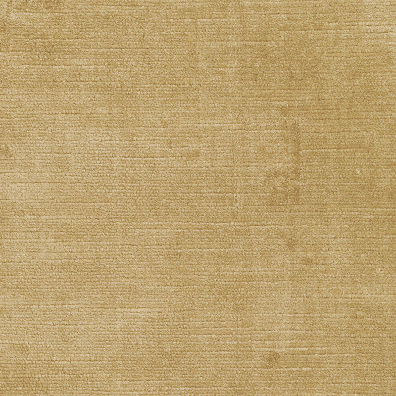 Acquire 43131 Antique Linen Velvet Champagne by Schumacher Fabric
