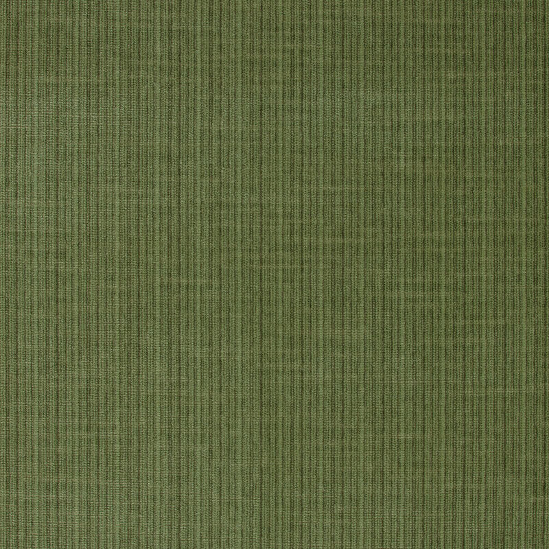 Acquire 43282 Antique Strie Velvet Grass by Schumacher Fabric