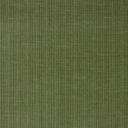 Acquire 43282 Antique Strie Velvet Grass by Schumacher Fabric