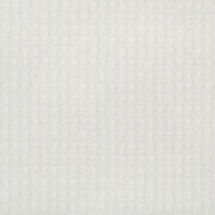Sample 4457.1.0 Sculptural Ivory Ivory Drapery Texture Fabric by Kravet Couture