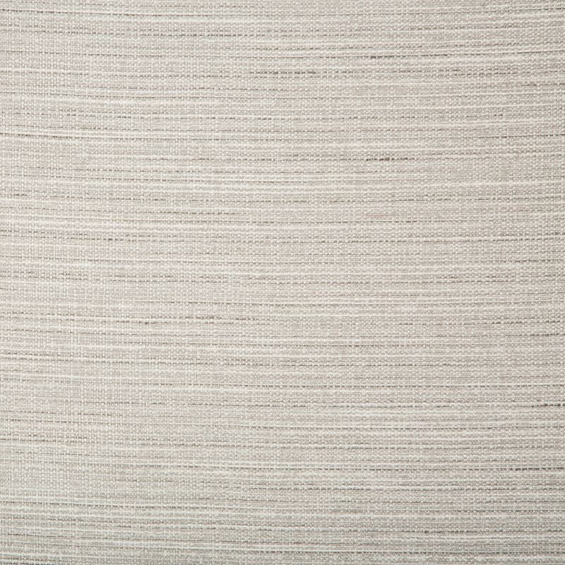 Sample 4673.11.0 Grey Solid Kravet Basics Fabric
