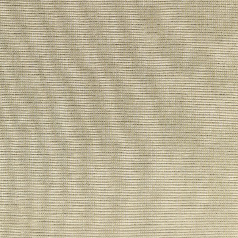 Purchase 4876.16.0 Kravet Basics,  - Kravet Basics Fabric