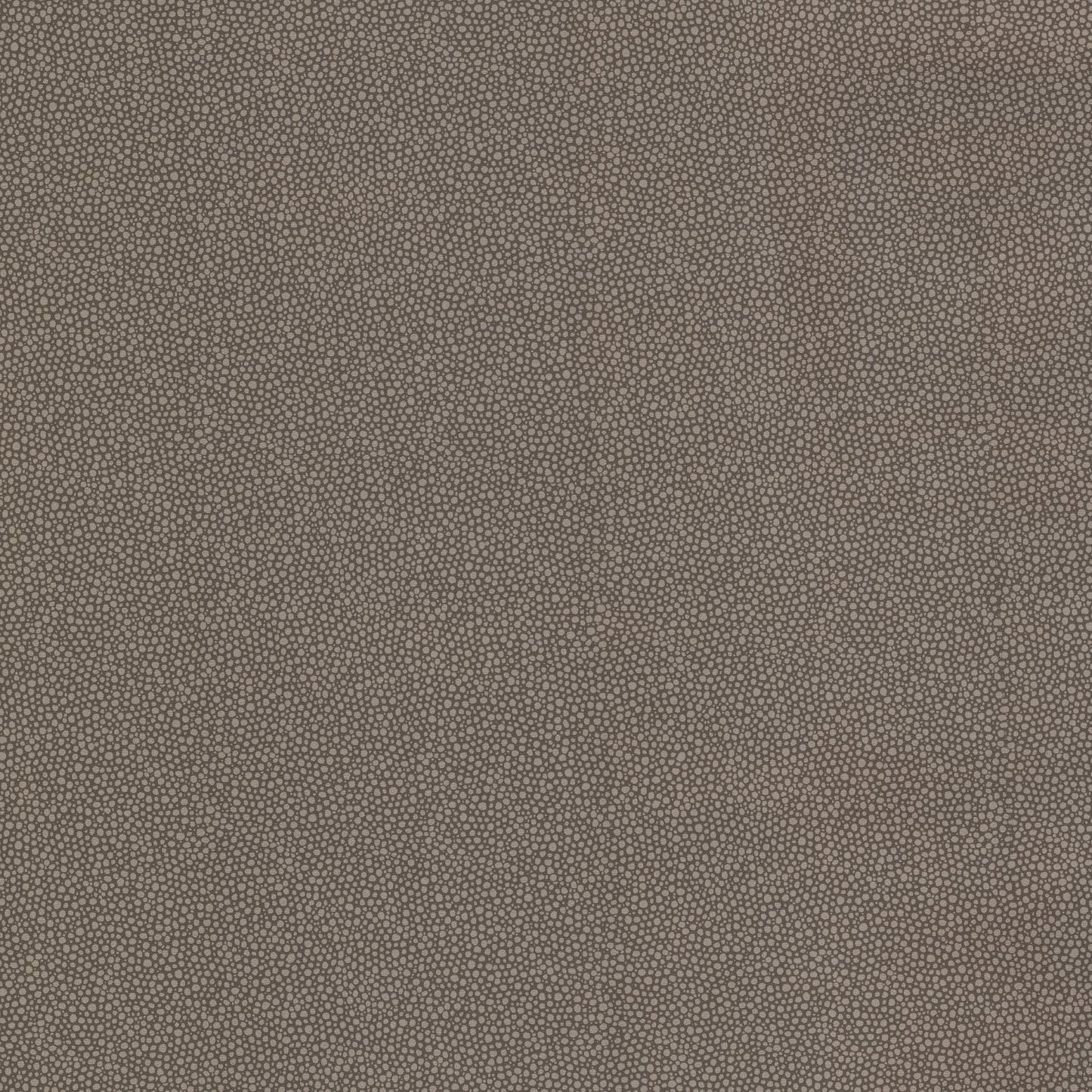 Purchase 499-20025 Ez Hang Textures VI Spore Brewster