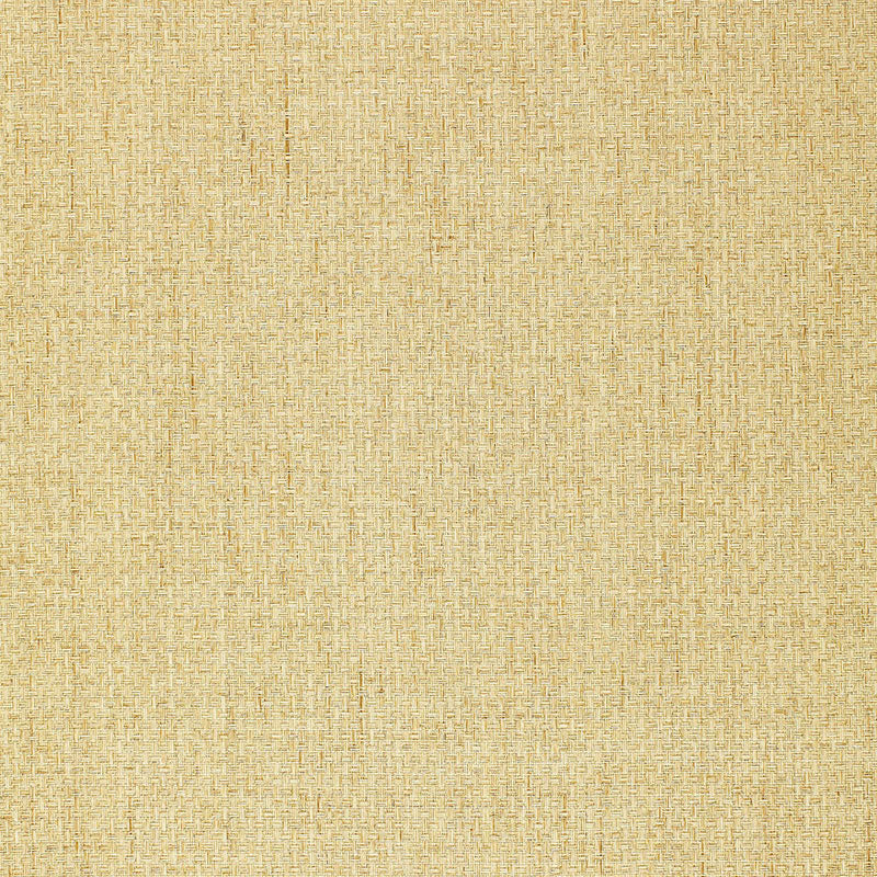 Purchase 5002991 | Goza Weave, Beige - Schumacher Wallpaper