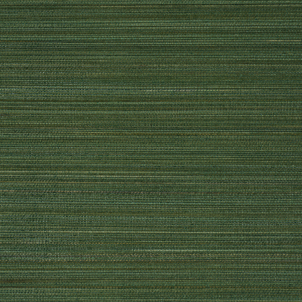 Purchase 5006405 | Zen Bamboo, Palm - Schumacher Wallpaper
