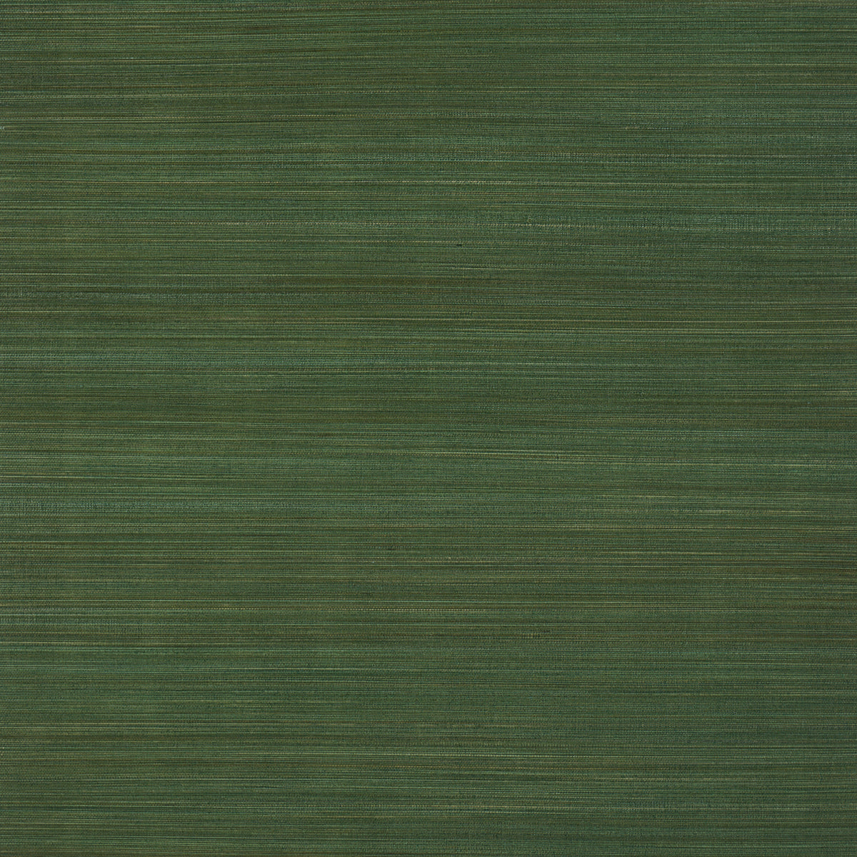 Purchase 5006405 | Zen Bamboo, Palm - Schumacher Wallpaper