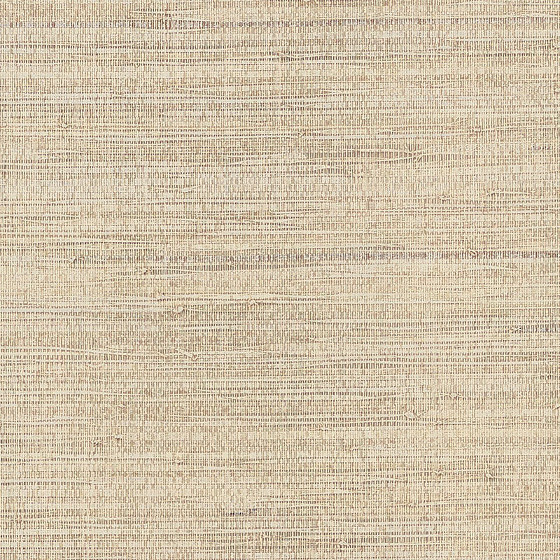 Sample - 5007820 | Burnished Raffia, Burnished Ivory - Schumacher Wall