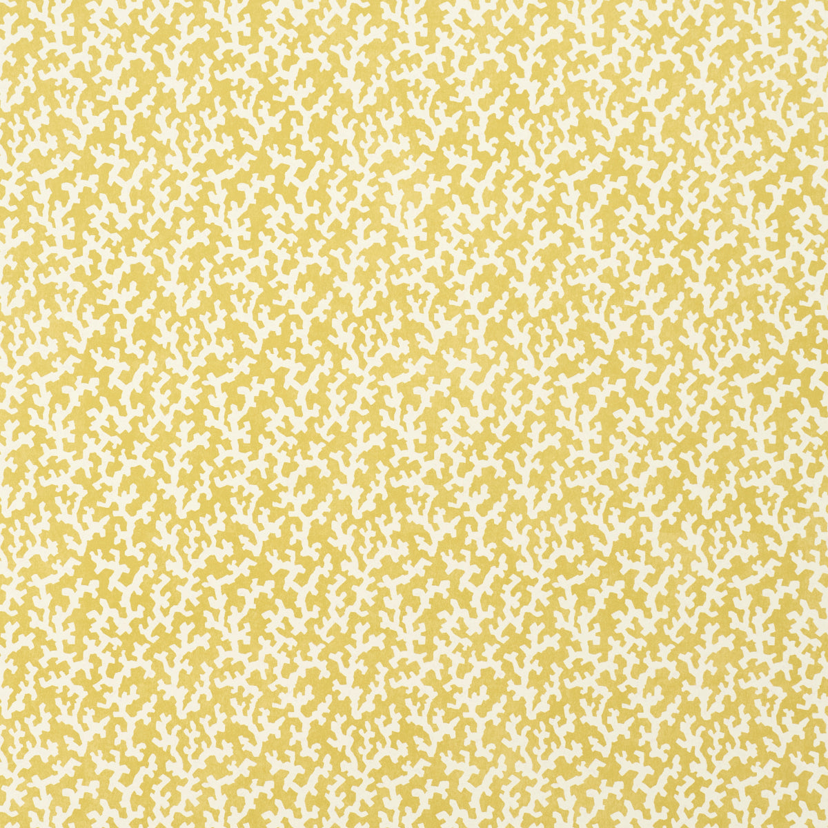 Purchase 5008007 | Folly, Mimosa - Schumacher Wallpaper