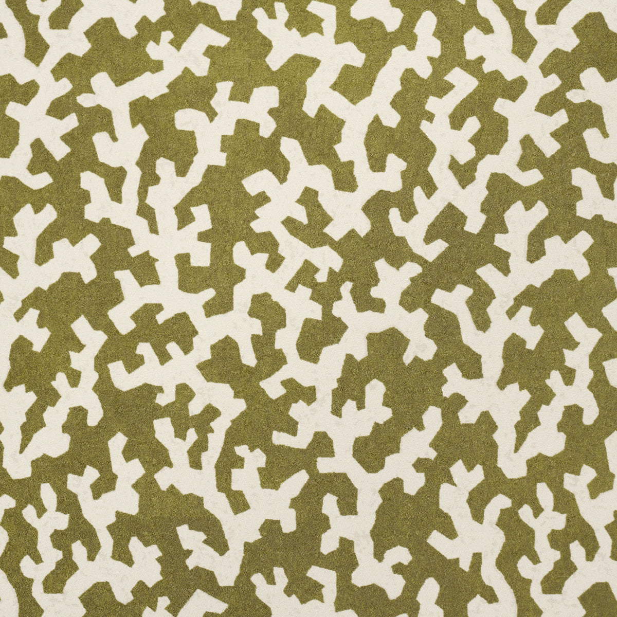 Purchase 5008008 | Folly, Olive - Schumacher Wallpaper