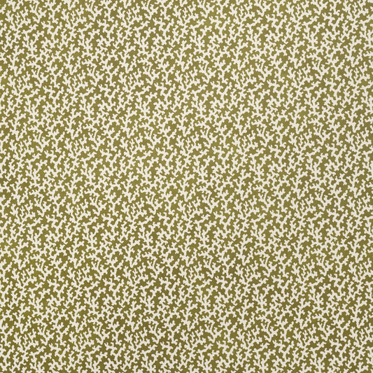 Purchase 5008008 | Folly, Olive - Schumacher Wallpaper