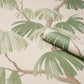 Purchase 5008335 | Weeping Pine, Green - Schumacher Wallpaper