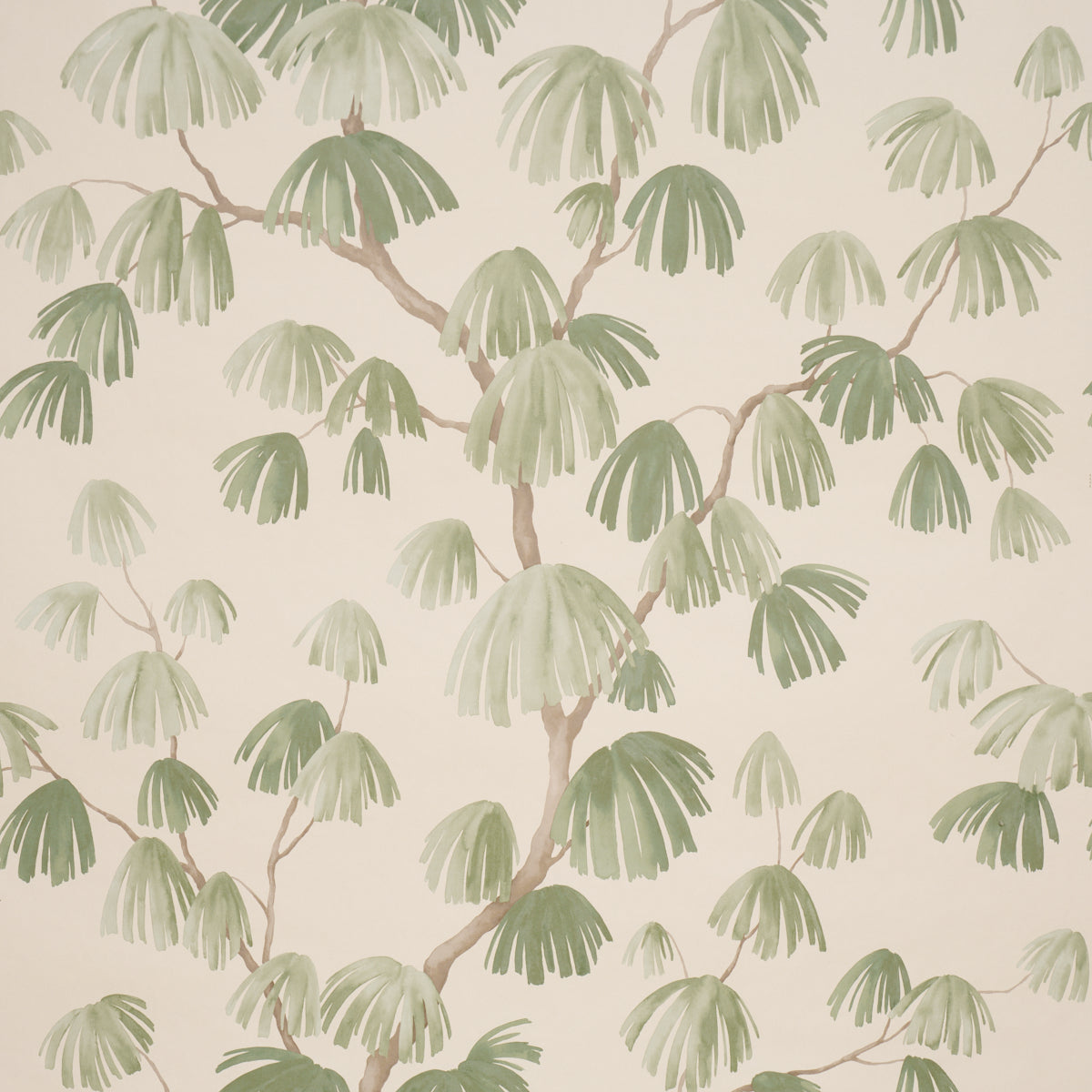 Purchase 5008335 | Weeping Pine, Green - Schumacher Wallpaper