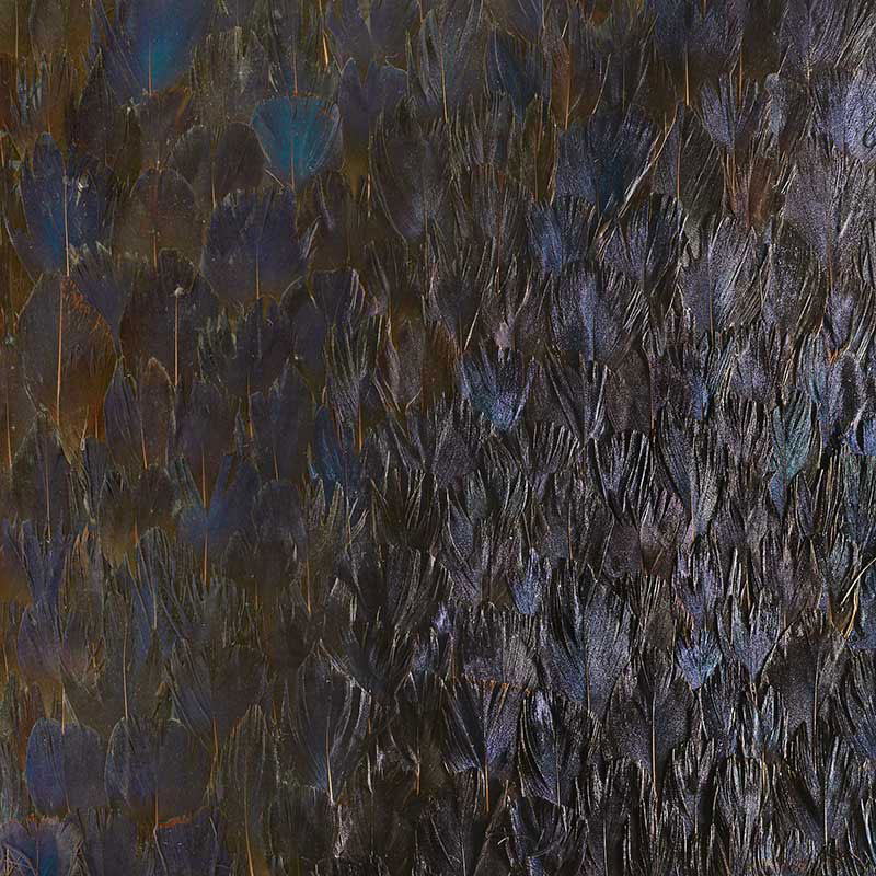 Purchase 5008398 | Sapphire, Bronze Violet - Schumacher Wallpaper