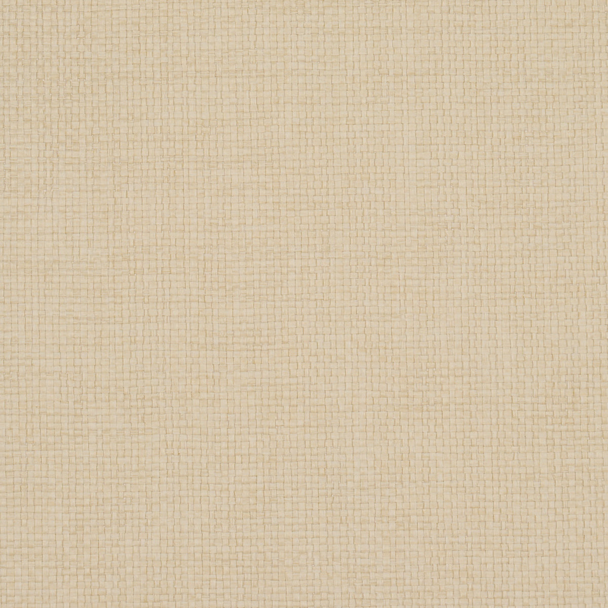Purchase 5008842 | Kiko Paperweave, Limestone - Schumacher Wallpaper