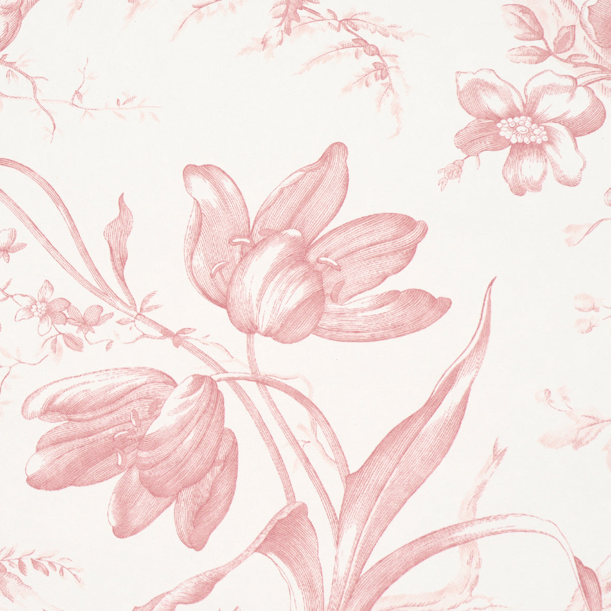 Purchase 5009123 | Toile De Fleurs, Pink - Schumacher Wallpaper