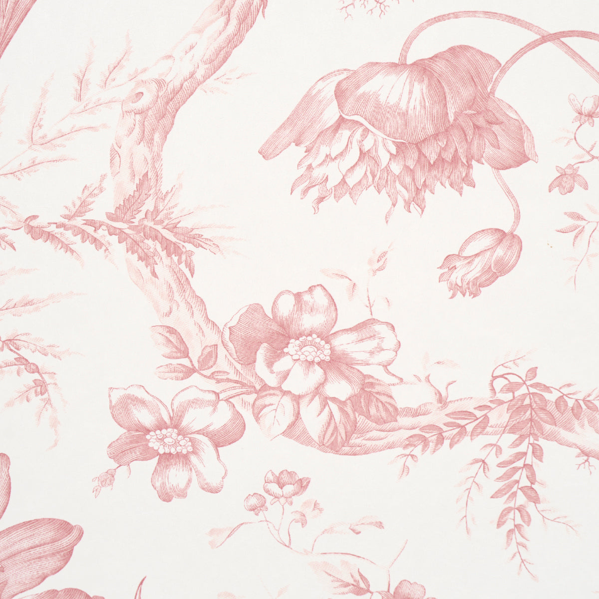 Purchase 5009123 | Toile De Fleurs, Pink - Schumacher Wallpaper