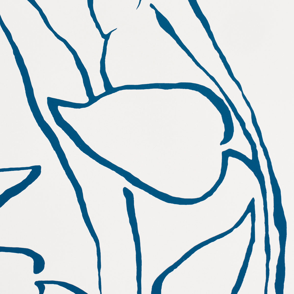 Purchase 5010073 | Solandra Vine, Navy - Schumacher Wallpaper