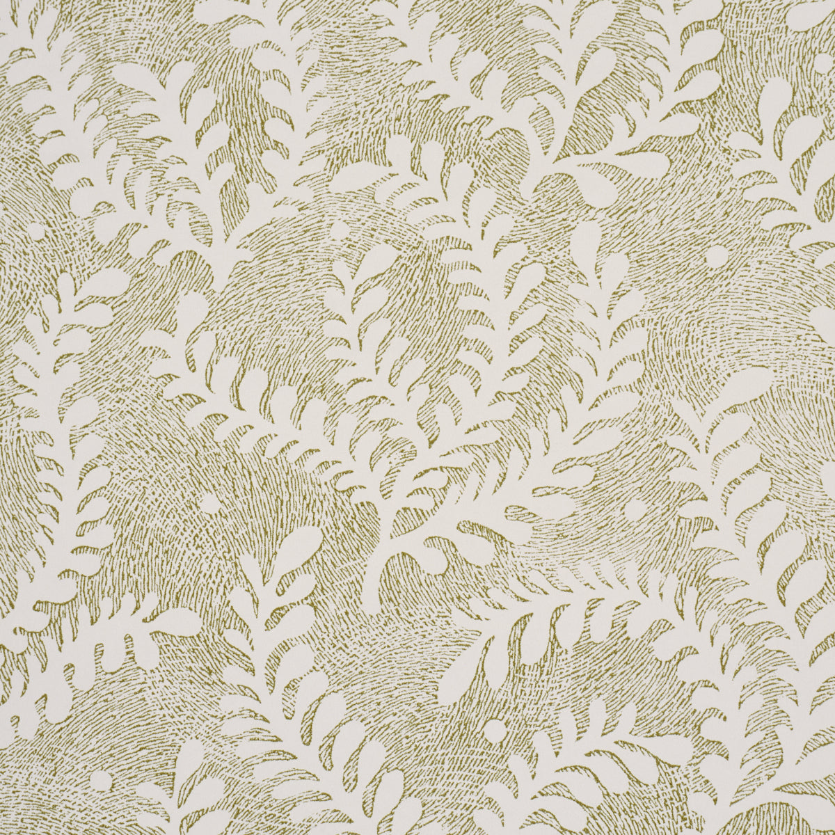 Purchase 5010383 | Etched Fern, Green - Schumacher Wallpaper