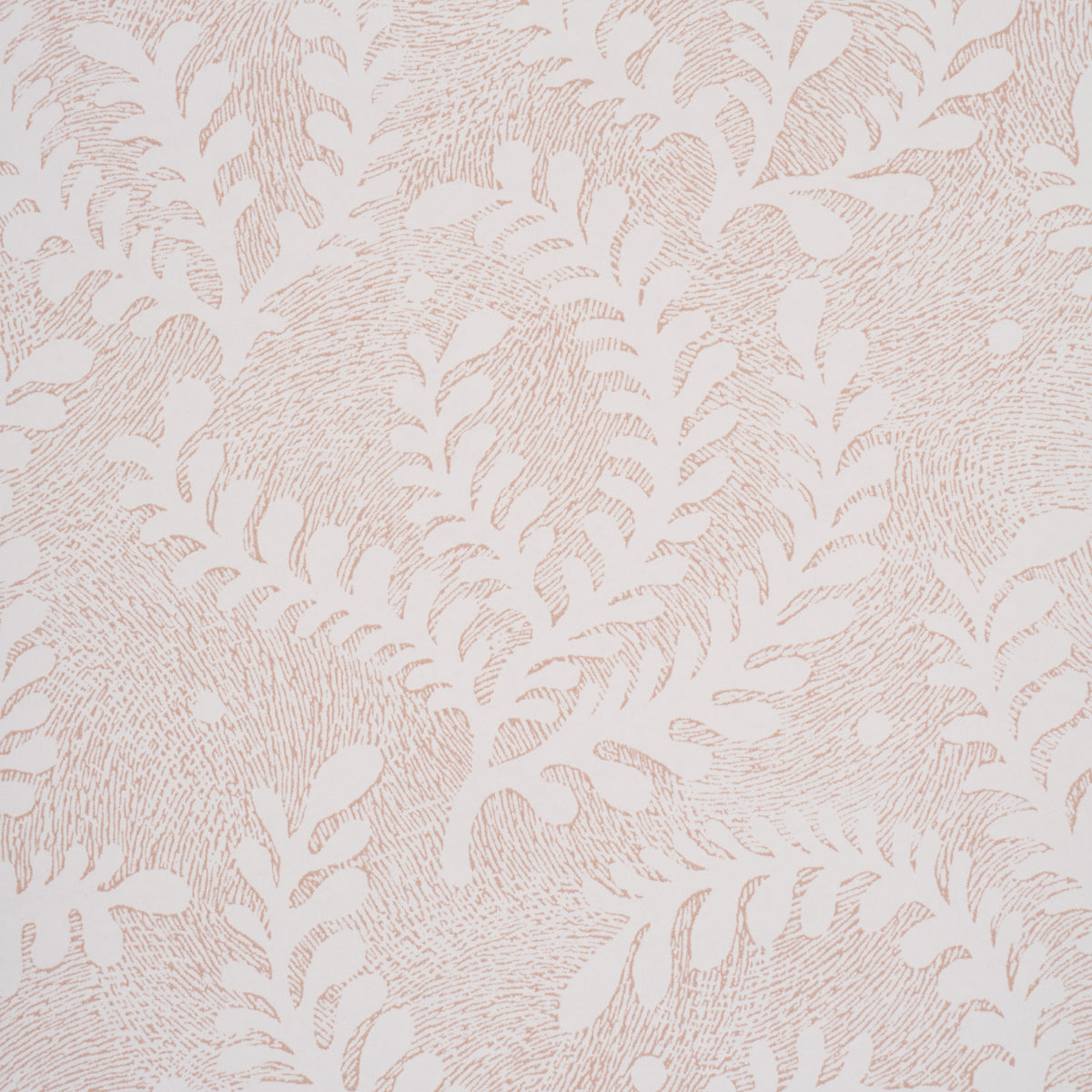 Purchase 5010384 | Etched Fern, Blush - Schumacher Wallpaper