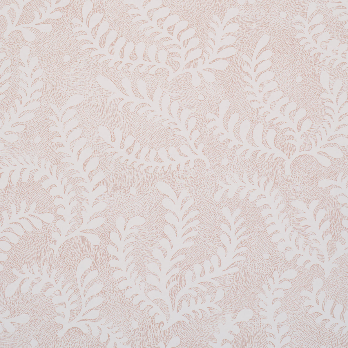 Purchase 5010384 | Etched Fern, Blush - Schumacher Wallpaper