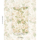 Purchase 5010842 | Nancy Floral, Ivory - Schumacher Wallpaper