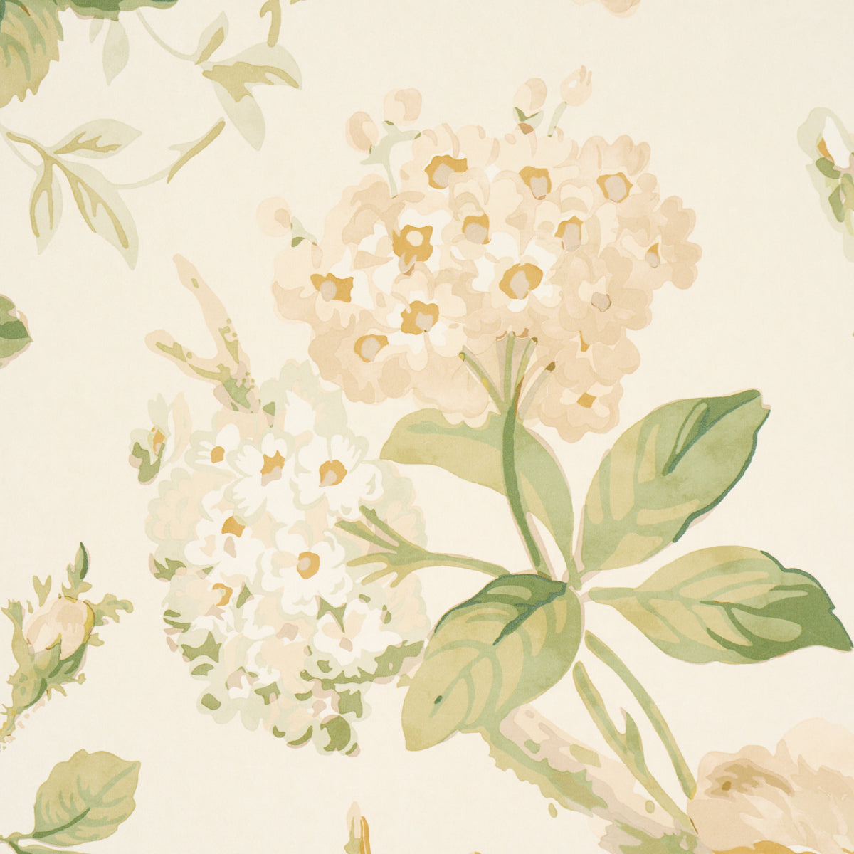 Purchase 5010842 | Nancy Floral, Ivory - Schumacher Wallpaper