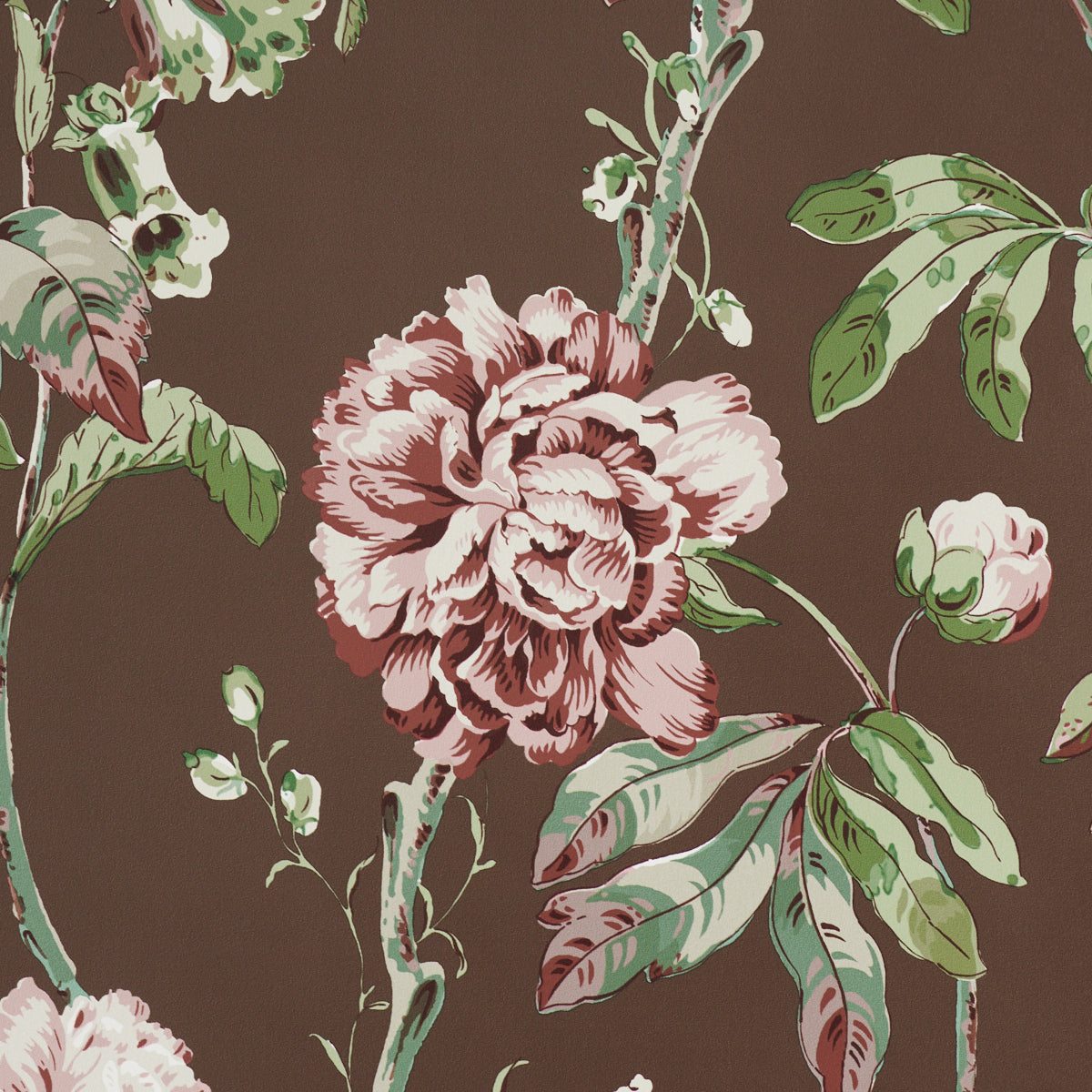 Purchase 5011402 | Daydream, Chocolate - Schumacher Wallpaper