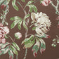 Purchase 5011402 | Daydream, Chocolate - Schumacher Wallpaper