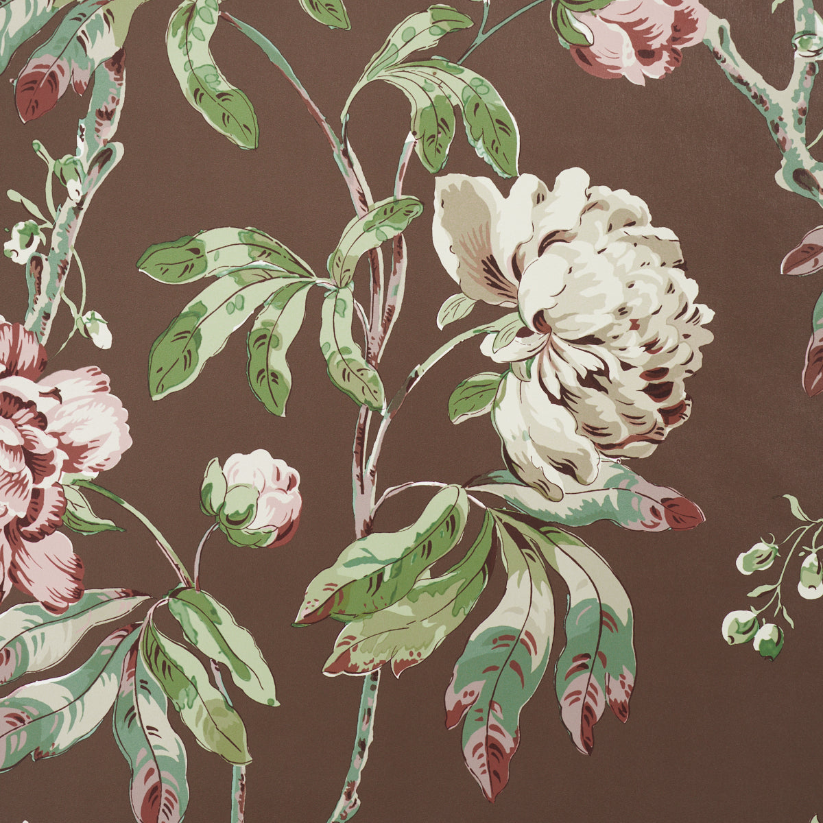 Purchase 5011402 | Daydream, Chocolate - Schumacher Wallpaper