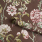 Purchase 5011402 | Daydream, Chocolate - Schumacher Wallpaper