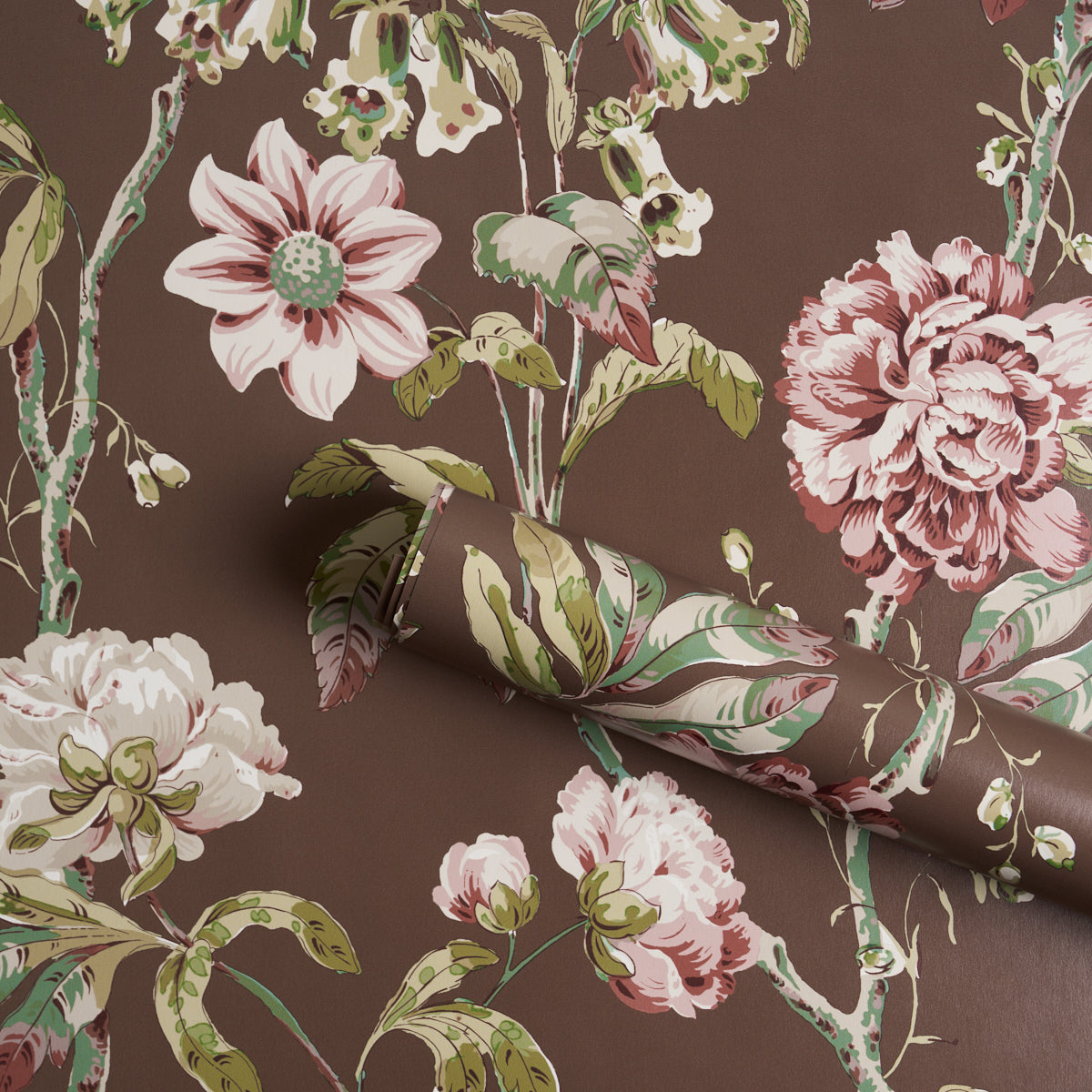 Purchase 5011402 | Daydream, Chocolate - Schumacher Wallpaper