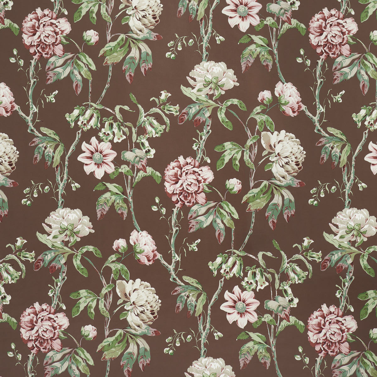 Purchase 5011402 | Daydream, Chocolate - Schumacher Wallpaper
