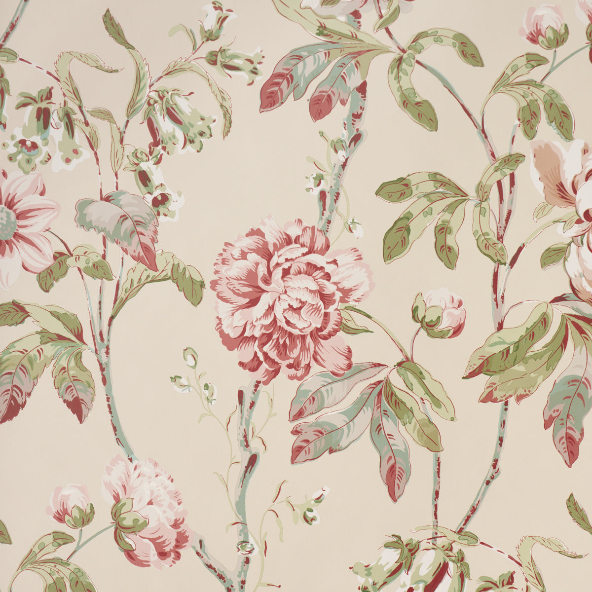 Purchase 5011404 | Daydream, Pink - Schumacher Wallpaper