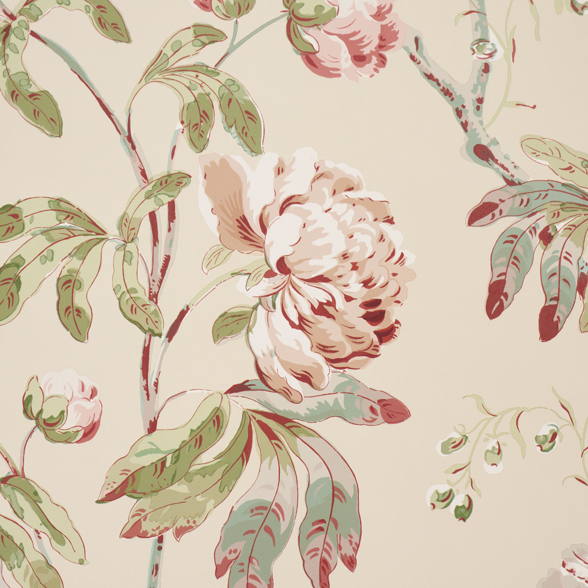 Purchase 5011404 | Daydream, Pink - Schumacher Wallpaper