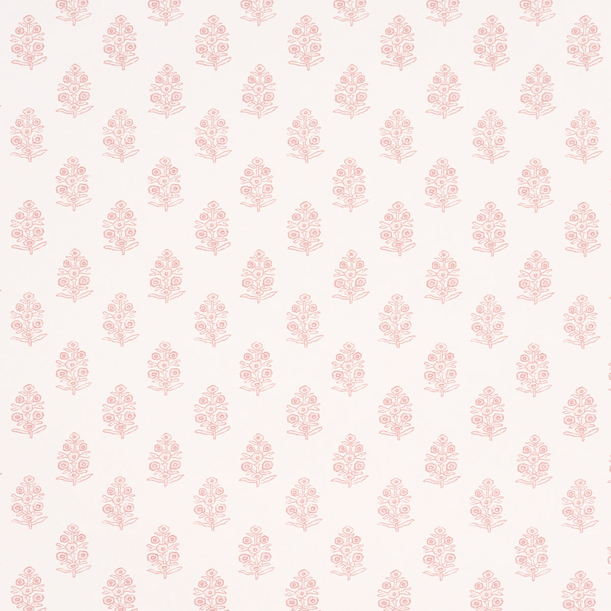 Purchase 5011935 | Aditi, Blush - Schumacher Wallpaper