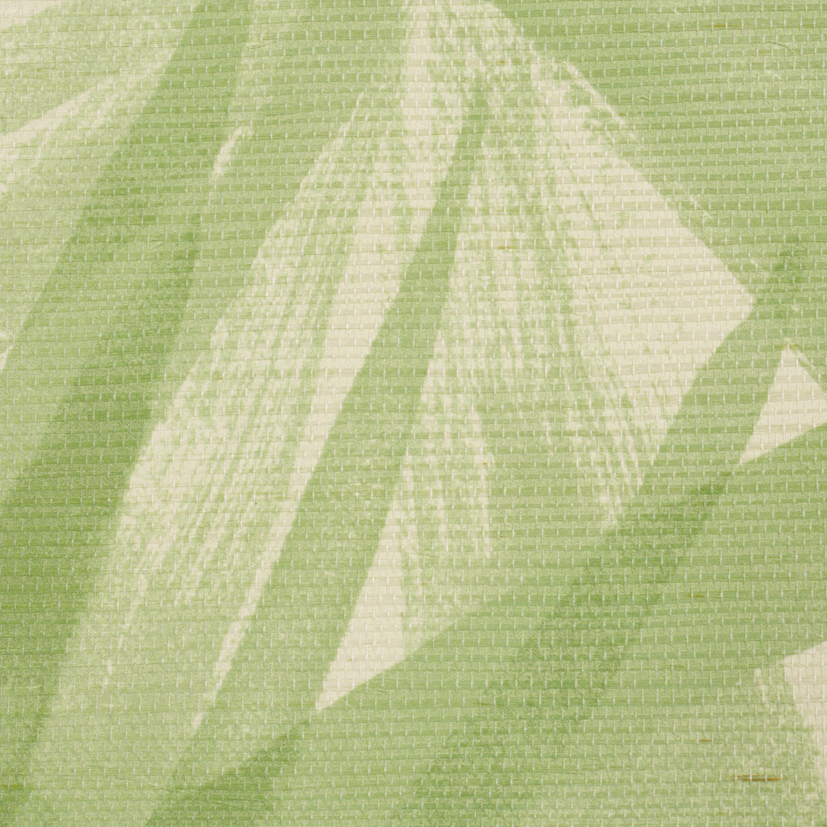 Purchase 5012042 | Sunlit Palm Sisal, Pistachio - Schumacher Wallpaper