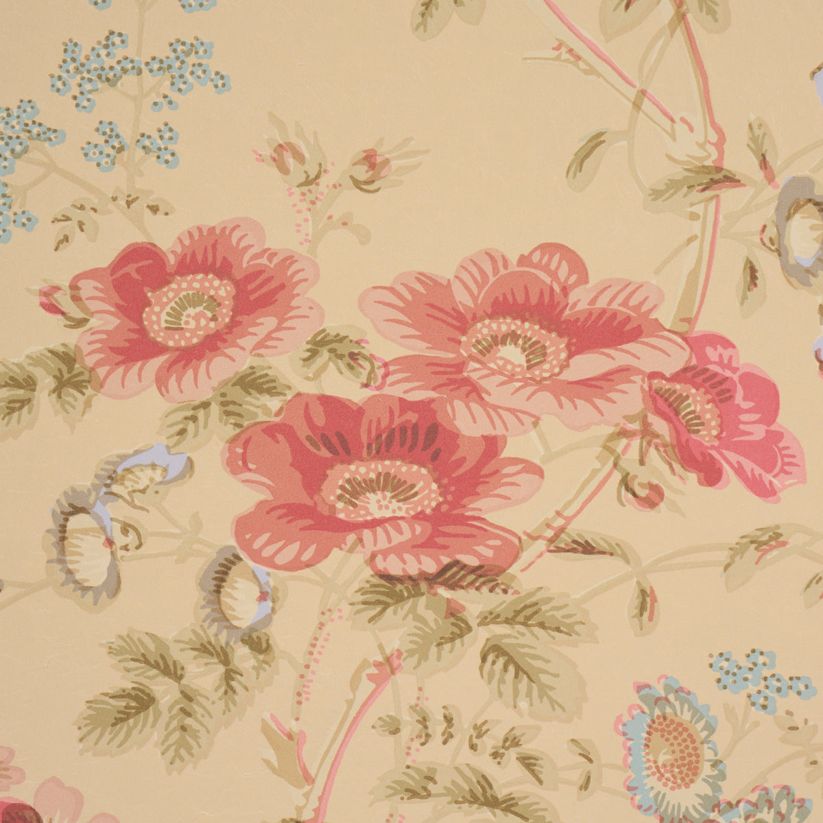 Purchase 5012063 | Salisbury, Butter - Schumacher Wallpaper