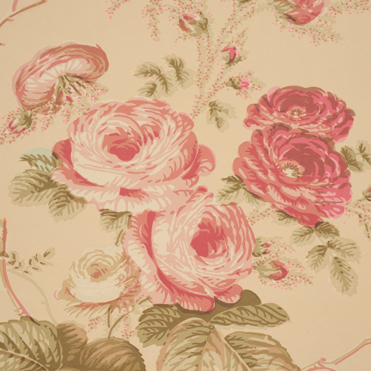 Purchase 5012063 | Salisbury, Butter - Schumacher Wallpaper