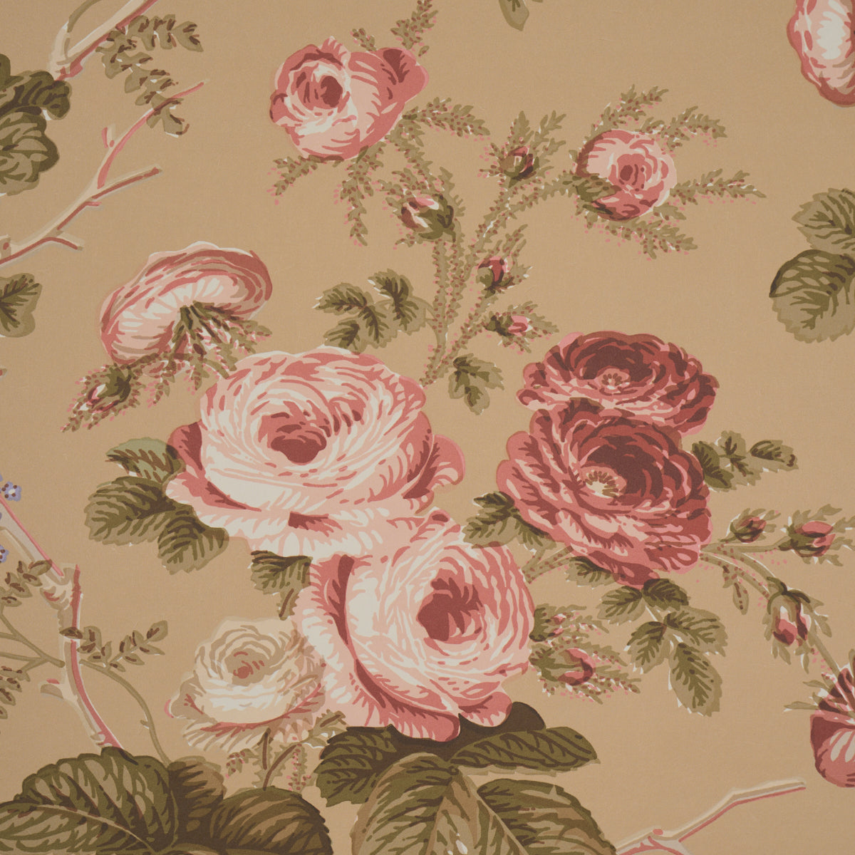 Purchase 5012064 | Salisbury, Tobacco - Schumacher Wallpaper