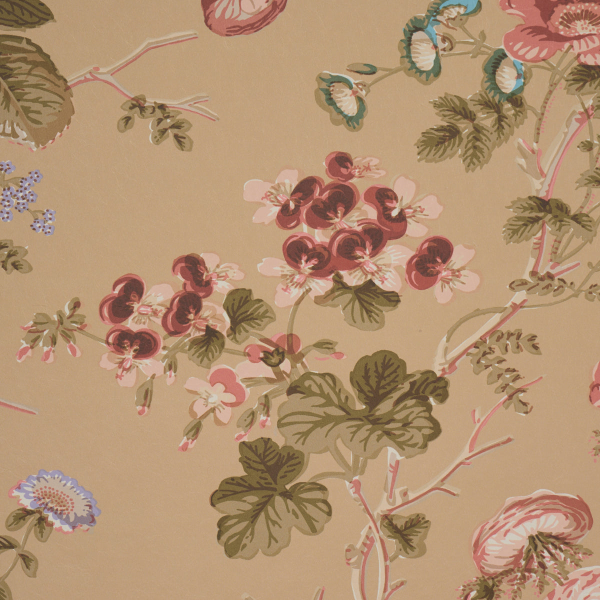 Purchase 5012064 | Salisbury, Tobacco - Schumacher Wallpaper