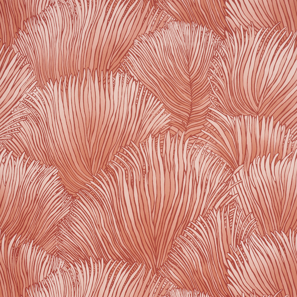 Purchase 5012654 | Fondale, Pink - Schumacher Wallpaper